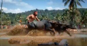 kanthara movie - kambala - tulunad