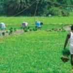 ಮಧ್ಯಪ್ರಾಚ್ಯದ ಬಿಕ್ಕಟ್ಟಿನ ಹಿನ್ನಲೆ: ಮುಂಗಾರು ಹಂಗಾಮಿಗೆ ರಸಗೊಬ್ಬರ ನಿರ್ವಹಣೆಗೆ ಸಚಿವರ ಸೂತ್ರ