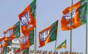 bjp- flag3
