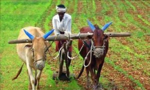 farmers