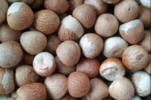 areca-nut-300x200
