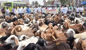 Gadag- Protest against atrocities on shepherds