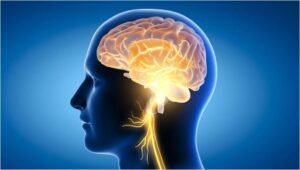 brain-health-1-300x170