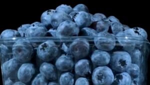 Health-Tips-Blueberries-2