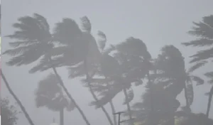 nivar-cyclone-rain-300x176-1