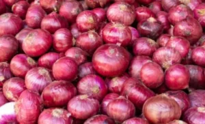 onion-300x182-1