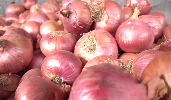 ಈರುಳ್ಳಿ ಬೆಲೆ ನಿಯಂತ್ರಣಕ್ಕೆ ಕೇಂದ್ರದ ಕ್ರಮ: ₹35ಕ್ಕೆ ಚಿಲ್ಲರೆ ಮಾರಾಟ