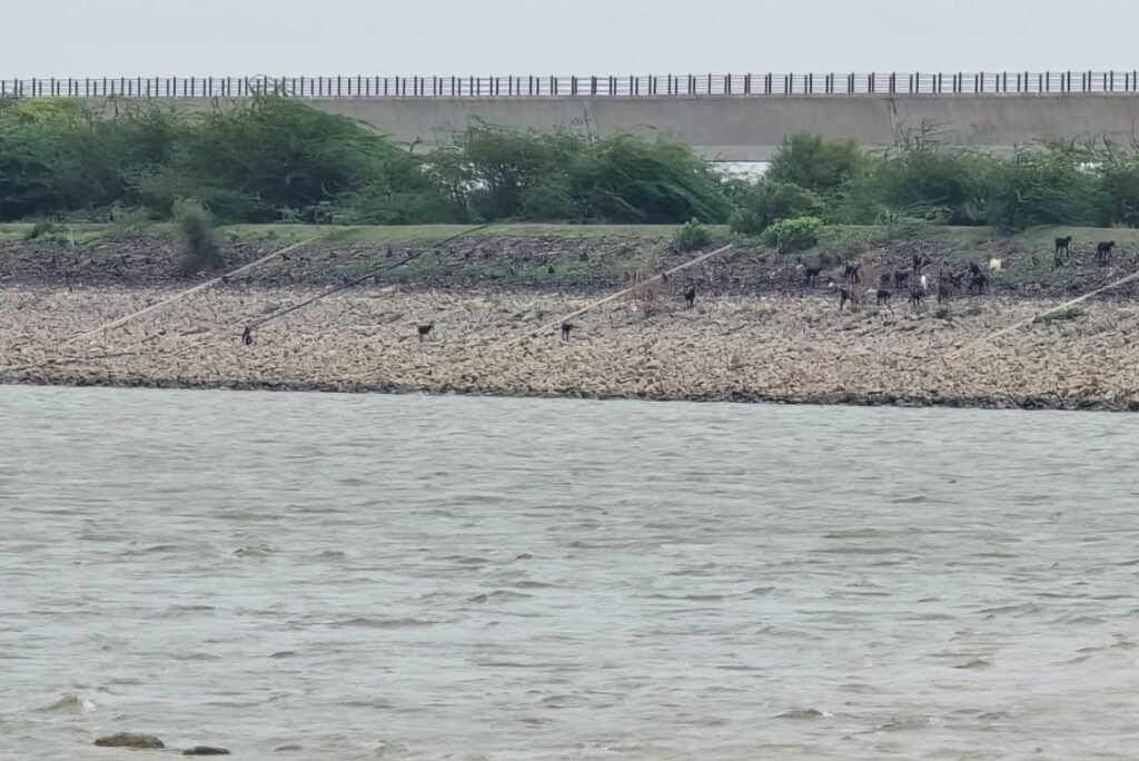 VJPR-Bhoothanala-lake-Kere-Dam-1