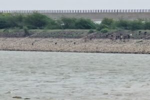 VJPR-Bhoothanala-lake-Kere-Dam-1