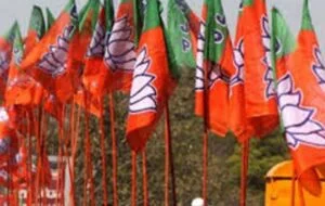bjp-flag2-300x190-1-1