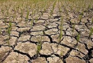 drought-300x203-1