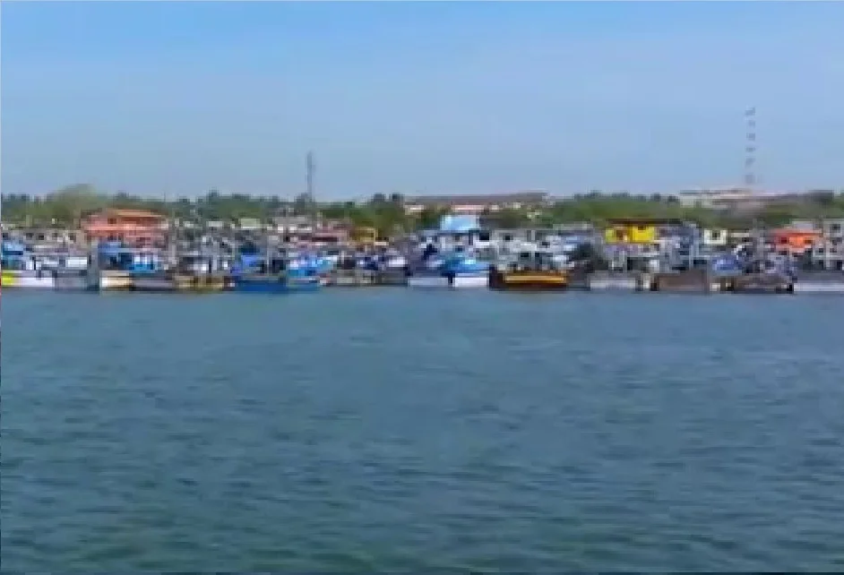 mangalore-port-fishing