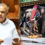 ದಸರಾ ಮೆರವಣಿಗೆಯಲ್ಲಿ ಆನೆ ಅವಾಂತರ: ಆನೆಗಳ ಬಳಕೆಗೆ ಕಟ್ಟುನಿಟ್ಟಿನ ಕ್ರಮಕ್ಕೆ ಸಚಿವ ರಾಮಲಿಂಗಾ ರೆಡ್ಡಿ ನಿರ್ದೇಶನ