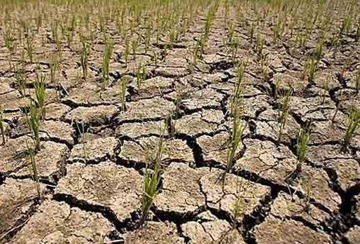 drought